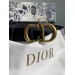 Ремінь Dior Saddle: ультрагладка шкіра та золото